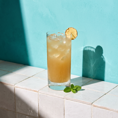Gem Juice Mint ginger drink served over ice with a dried ginger slice and fresh mint on a tiled ledge