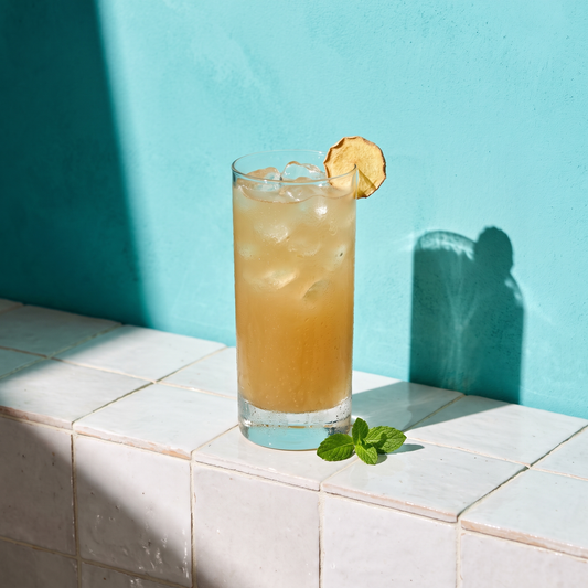 Gem Juice Mint ginger drink served over ice with a dried ginger slice and fresh mint on a tiled ledge